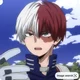 Shoto Todoroki