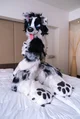 TripECollie Fursuit