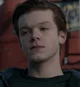 IAN GALLAGHER