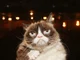 Grumpy Cat