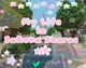 Life in Sakura Shore