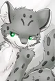 CHANGED Male snep