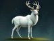 The White Stag 
