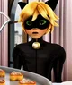 Chat Noir