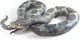 Rubber Snake
