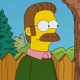 ned flanders
