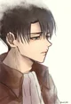 Levi Ackerman 