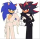 Sonic and Shadow 