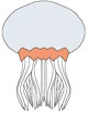 Fem Jellyfish 