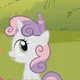 Sweetie Belle