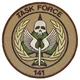 Task force 
