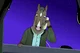 Bojack Horseman au