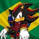 Shadow BRASILEIRO
