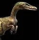 WWD Velociraptor