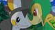 Snivy vs Emolga 