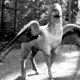 03 - CREATURE CARE