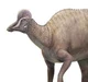 Corythosaurus
