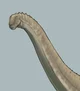 Alamosaurus sanjuane