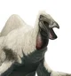 Deinocheirus
