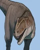 Tameryraptor