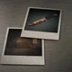 Betrayal- angst