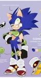 SONIC T HEDGEHOG 