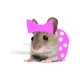 Mizzy Rat
