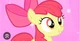 Apple Bloom