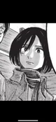 Mikasa Ackerman