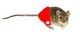 Michael Rat