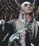King Thranduil 