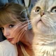 07 TAYLOR 