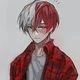 Shoto Todoroki
