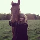 07 TAYLOR