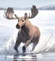 Moose life