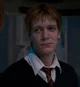 Fred G Weasley