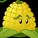 Kernel-Pult