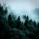 Twilight RP