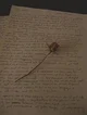 Alex - Writer