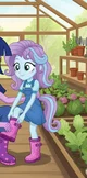 Flurry heart 