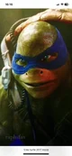 Leonardo 