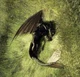 Httyd Rpg