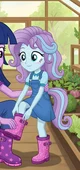 Flurry heart 