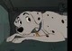 perdita2