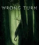 Wrong Turn