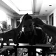 002 ELIJAH STONE