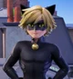 Cat Noir