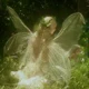 Faerie 