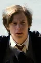 Remus lupinn 