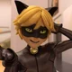 Cat Noir